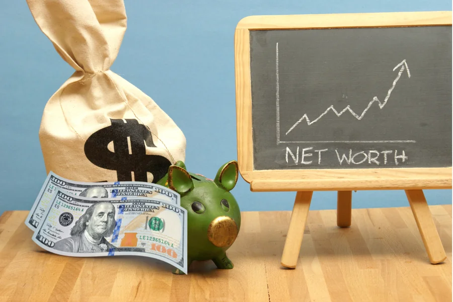 Net Worth The Boring Magazine 4